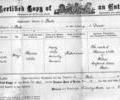 John Edward Hibbard Wills' birth certificate