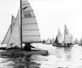 Catamaran racing