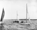 Dayboat dinghy racing