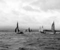 Dayboat dinghy racing