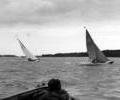 Folkboat dinghy racing