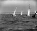 Flying Dutchmen dinghy racing