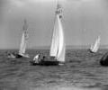 Flying Dutchmen dinghy racing