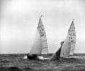 Flying Dutchmen dinghy racing