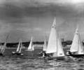 Flying Dutchmen dinghy racing