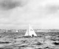 Flying Dutchmen dinghy racing