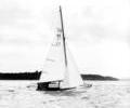 Folkboat dinghy racing