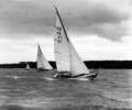 Folkboat dinghy racing