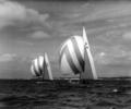 Coppa d'Italia 1957 dinghy racing