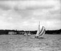 Coppa d'Italia 1957 dinghy racing