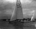 Coppa d'Italia 1957 dinghy racing