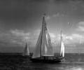 Coppa d'Italia 1957 dinghy racing