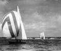 Coppa d'Italia 1957 dinghy racing