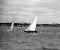 Coppa d'Italia 1957 dinghy racing