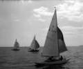 Dragon dinghy racing, 1964