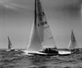 Dragon dinghy racing, 1964