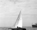 Dragon dinghy racing, 1964