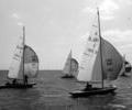 Dragon dinghy racing, 1964