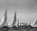 Dragon dinghy racing, 1964