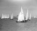 Dragon dinghy racing, 1964