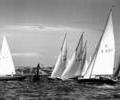 Dragon dinghy racing, 1964