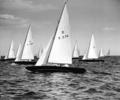 Dragon dinghy racing, 1964