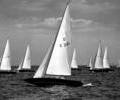 Dragon dinghy racing, 1964