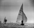 Dragon dinghy racing, 1964