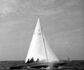 Dragon dinghy racing, 1964