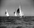 Dragon dinghy racing, 1964