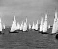 Dragon dinghy racing, 1964