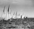 Dragon dinghy racing, 1964