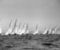 Dragon dinghy racing, 1964