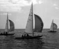 Dragon dinghy racing, 1964