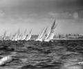 Dragon dinghy racing, 1966