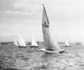 Dragon dinghy racing, 1966