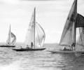 Dragon dinghy racing, 1966