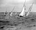 Dragon dinghy racing, 1966