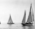 Sailing cruisers