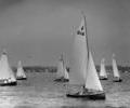 Sailing dinghies