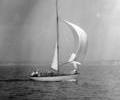 Unidentified sailing cruiser