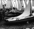 Sailing dinghies