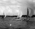 Dinghy racing