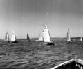 Dinghy racing