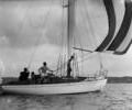 Unidentified sailing cruiser