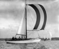 Sailing cruiser 179