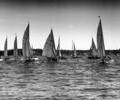 Enterprise dinghy racing