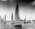 Enterprise dinghy racing